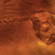 Illustration for article titled Here is the astonishing creature found inside a 200 million-year-old leech cocoon